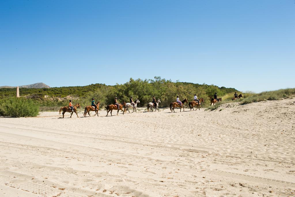 Agroturismo Can Pere Rei Son Serra de Marina Ngoại thất bức ảnh